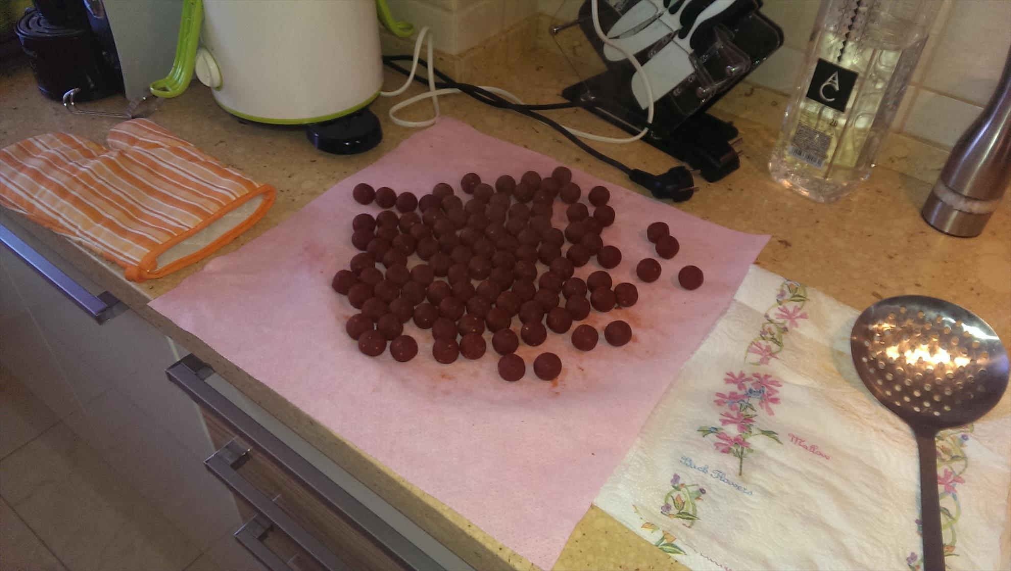 Pregatiri Carpbook ed.II - imag1226.jpg